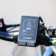 Vélo-Scooter électrique Easy Go - Van Raam