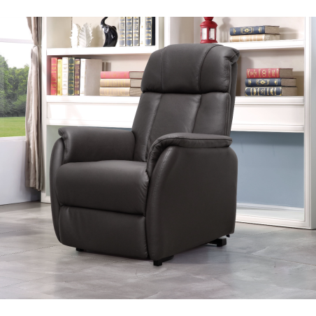 Fauteuil releveur électrique Cuir 2 moteurs Alphonse