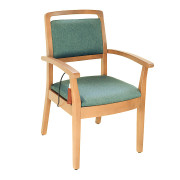 Chaise releveuse électrique sur batterie Marguerite