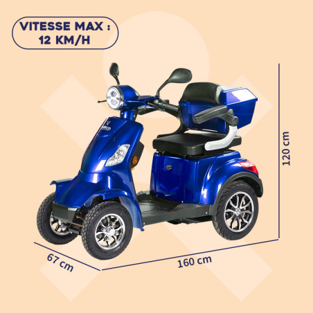 Scooter électrique 4 roues Faster non homologué route