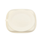 Assiette compartimentée en siliconne à ventouse