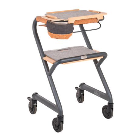 Déambulateur d'intérieur Page Saljol