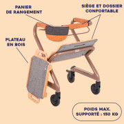 Déambulateur d'intérieur Page Saljol