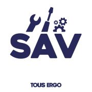 Maintenance Annuelle Monte escalier