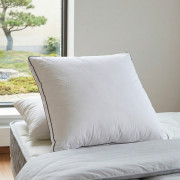 Oreiller souple 65 x 65 cm Alba