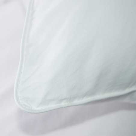 Oreiller en latex Jade 60x60