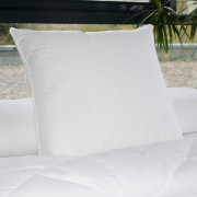 Oreiller en latex Jade 60x60