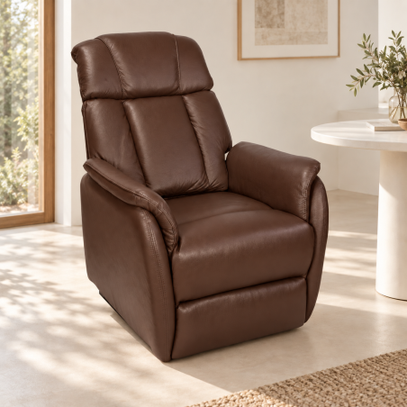 Fauteuil releveur électrique Cuir 2 moteurs Alphonse