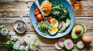 système immunitaire, santé, healthy, tous ergo, alimentation