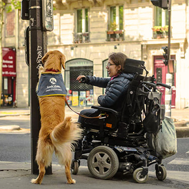 fauteuil-roulant-autonomie-aide-technique-tous-ergo-medical-handichien-chien-assistance