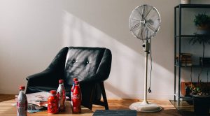 canicule