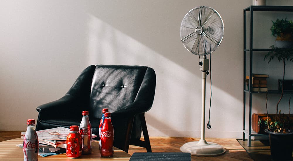 canicule