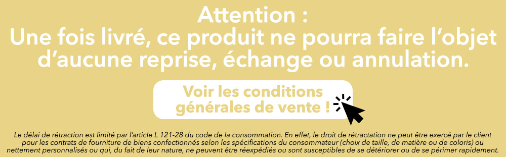 Voiture sans permis E-Pauline - Scooter handicap - Tous Ergo